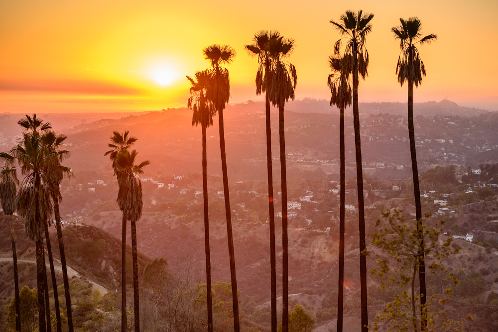 Griffith Park, Los Angeles, California, USA..jpeg